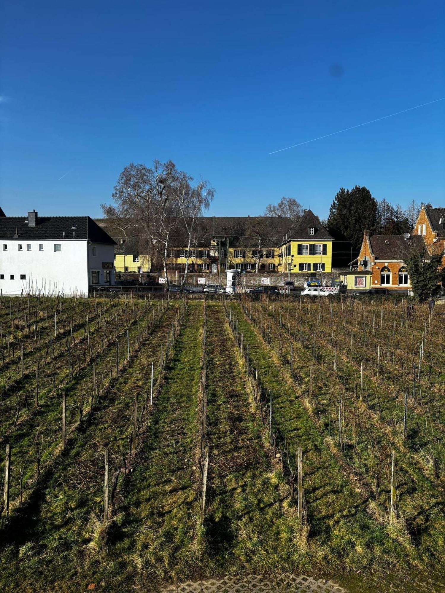 Schloss Schoenborn Geisenheim Eksteriør bilde