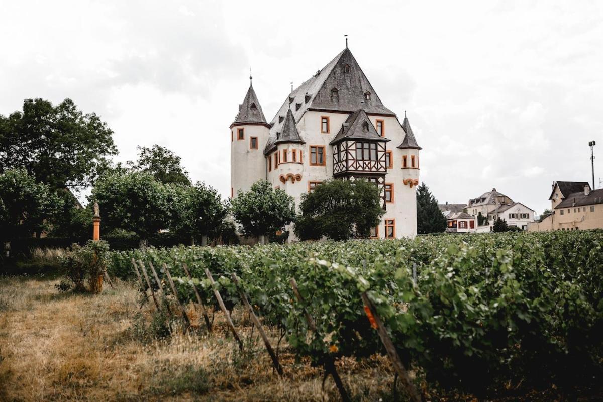 Schloss Schoenborn Geisenheim Eksteriør bilde